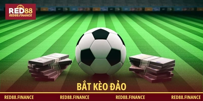 Bắt kèo đảo