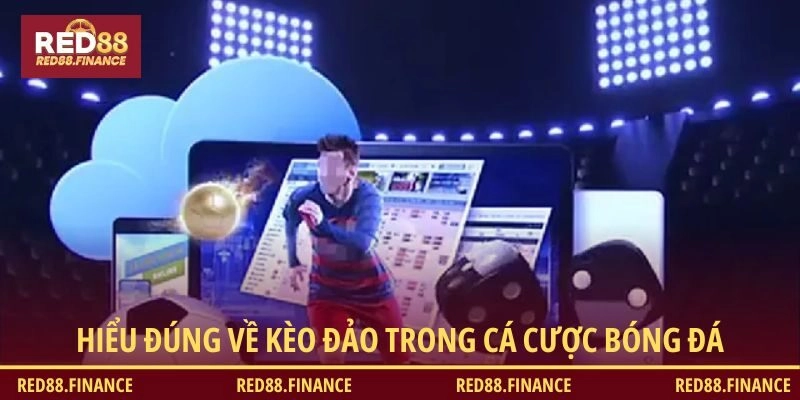 Bắt kèo đảo