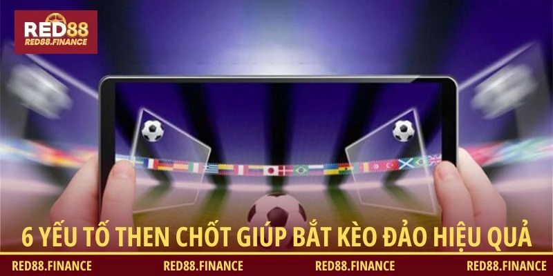 Bắt kèo đảo