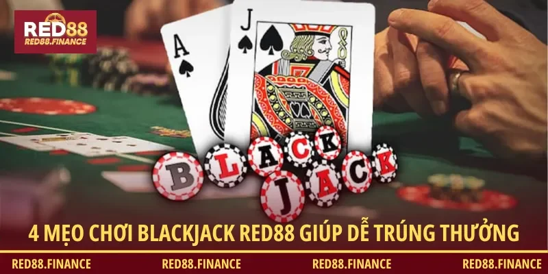 4 mẹo chơi Blackjack RED88 hiệu quả tân thủ nên biết