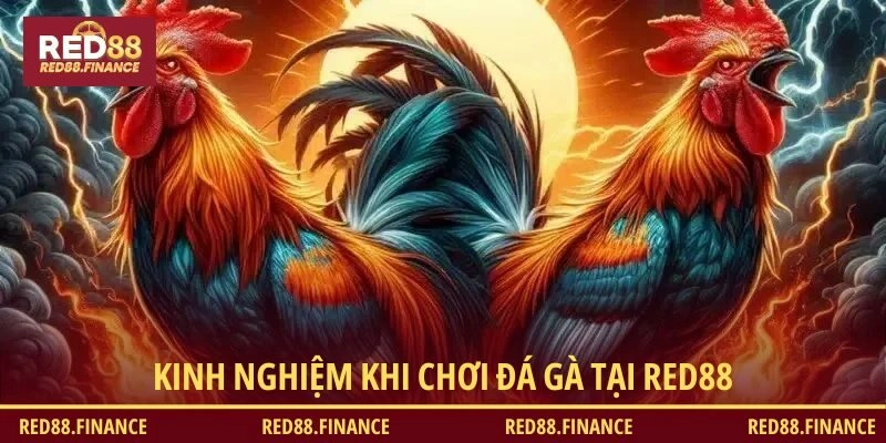 Mẹo chơi hay cho bạn thắng dễ dàng